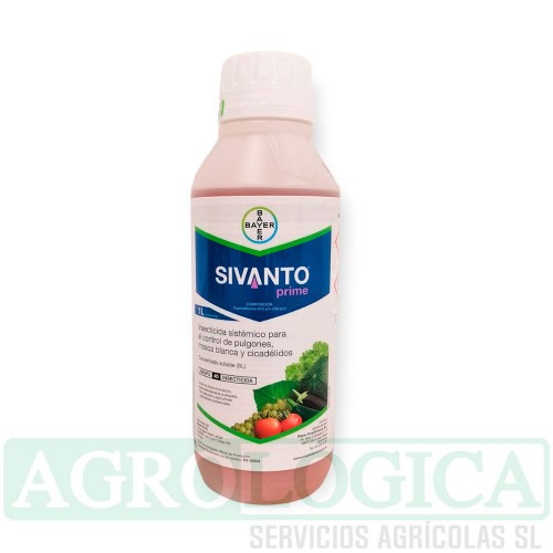 Sivanto-flupiradifurona-insecticida