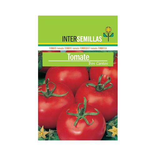 Tomate Tres cantos, 100g