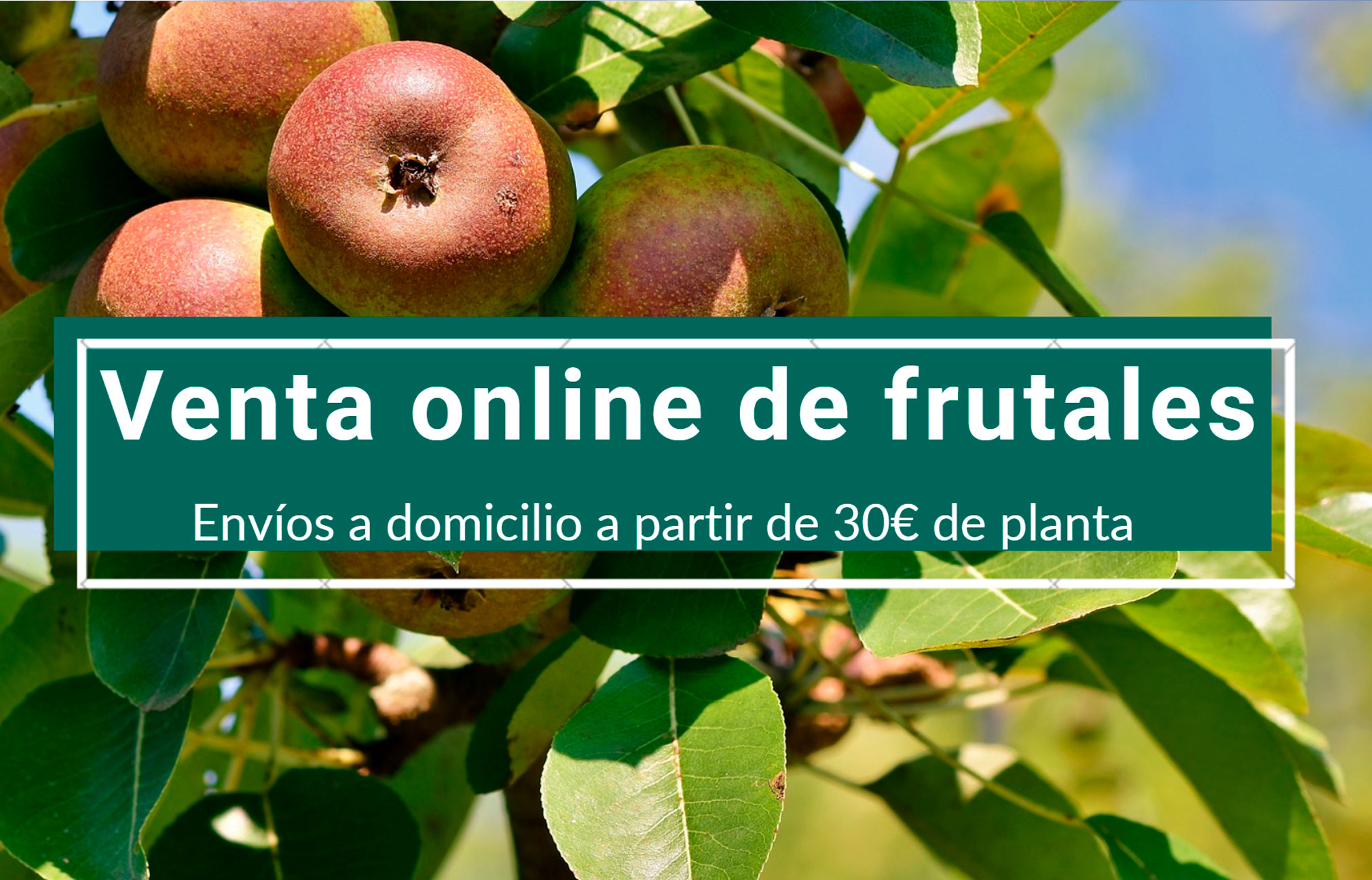 Venta online de frutales